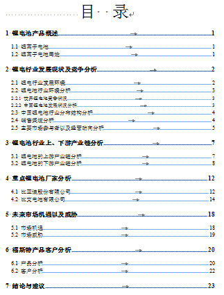 《福斯特集團(tuán)調(diào)查報告書》