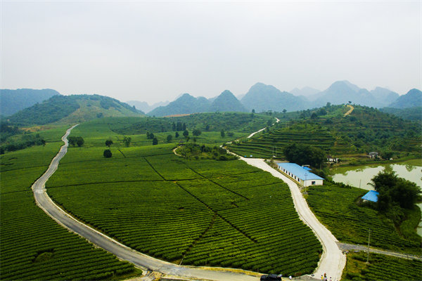 清遠(yuǎn)管理咨詢機(jī)構(gòu)的定制化服務(wù)方面包含哪些內(nèi)容？